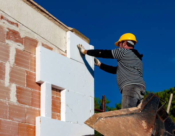 Best Insulation Maintenance and Repair in June Park, FL