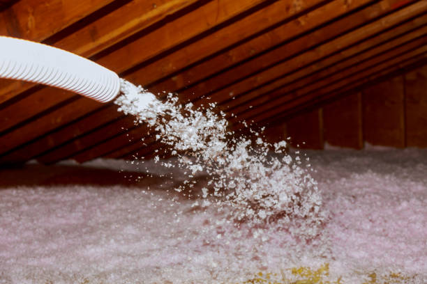 Best Spray Foam Insulation in June Park, FL