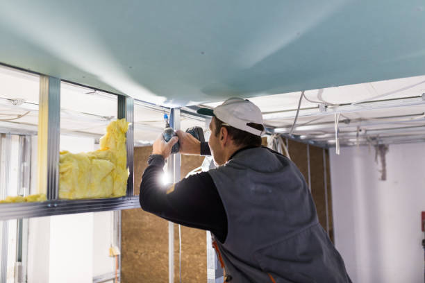 Best Spray Foam Insulation in June Park, FL