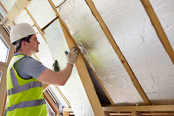 Best Geographic-Specific Insulation Services in June Park, FL