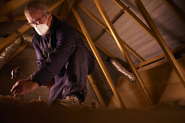 Reliable June Park, FL Insulation Contractor Solutions