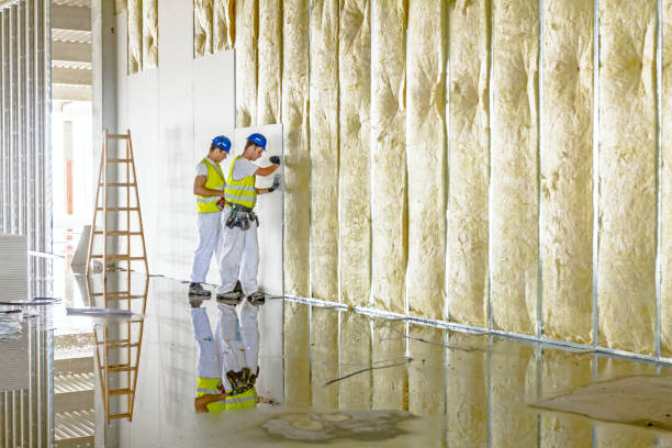 Best Spray Foam Insulation in June Park, FL